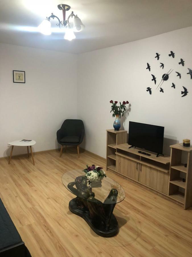 דרובטה-טורנו-סברין Apartament Kiseleff מראה חיצוני תמונה